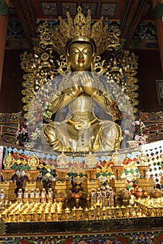 Ã¤Â¼Å Ã¥â¦â¹Ã¥ÂÂ¬ Buddha gold prayer inside, Beautiful decorated Lamesery, Dazhou Hohhot day